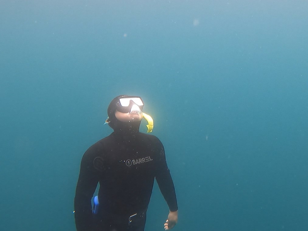 아이다(AIDA) 레벨 2 개방수역(해양) 실습 2번째