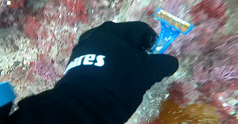 제주 성산 다이빙_해양쓰레기 줍기