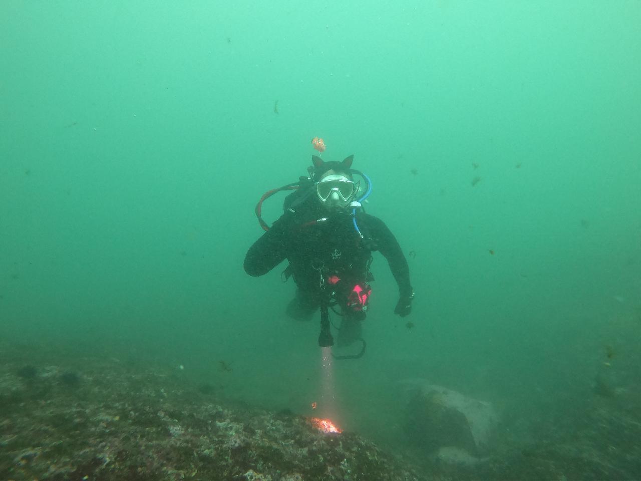 7.포항 블루오션 2깡