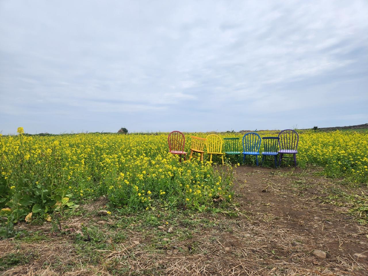 봄이 성큼 다가왔어요.