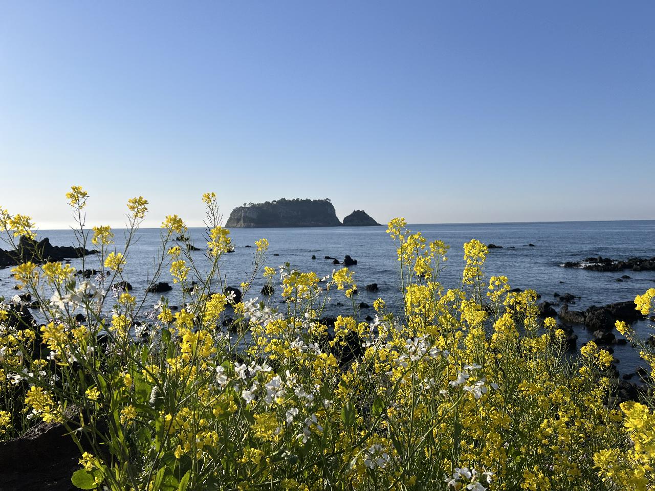 We’re getting ready for the diving season in Jeju Island.